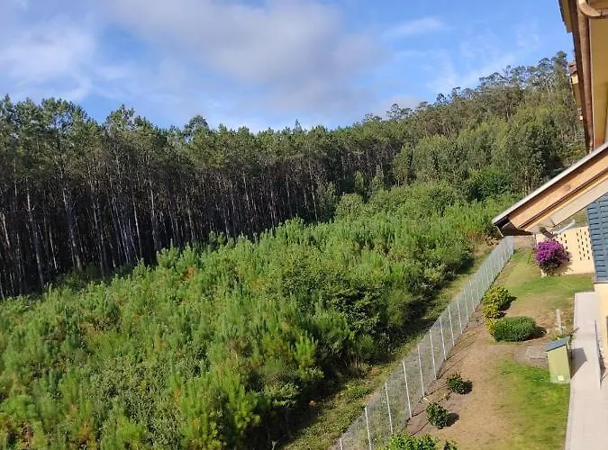 Daire Atico De Carmen *